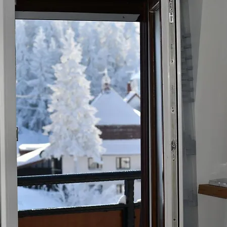 Alpine Club Apartman In Groodvy House アパート ヤホリナ